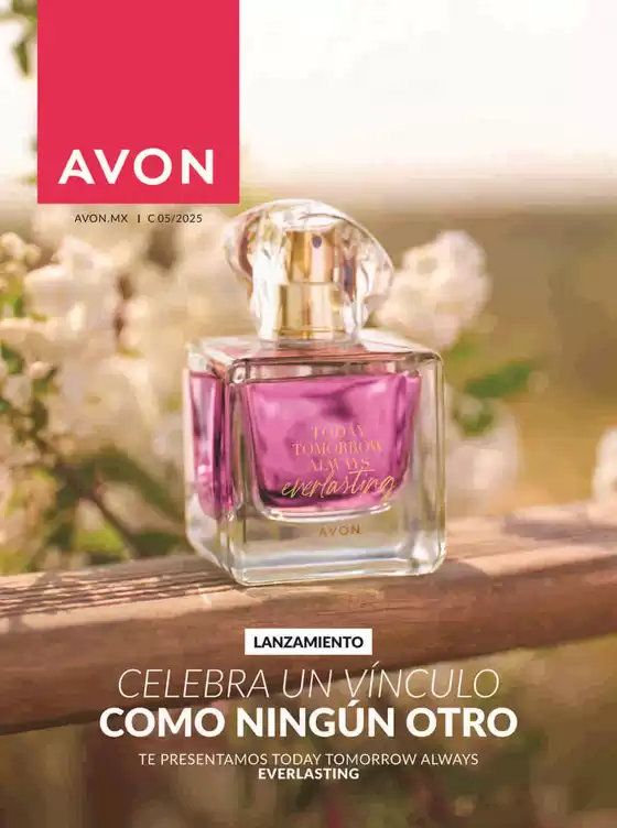 Avon COSMÉTICOS C5
