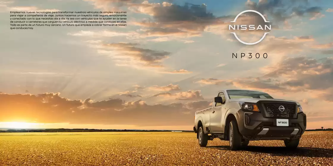 Nissan NP300 25