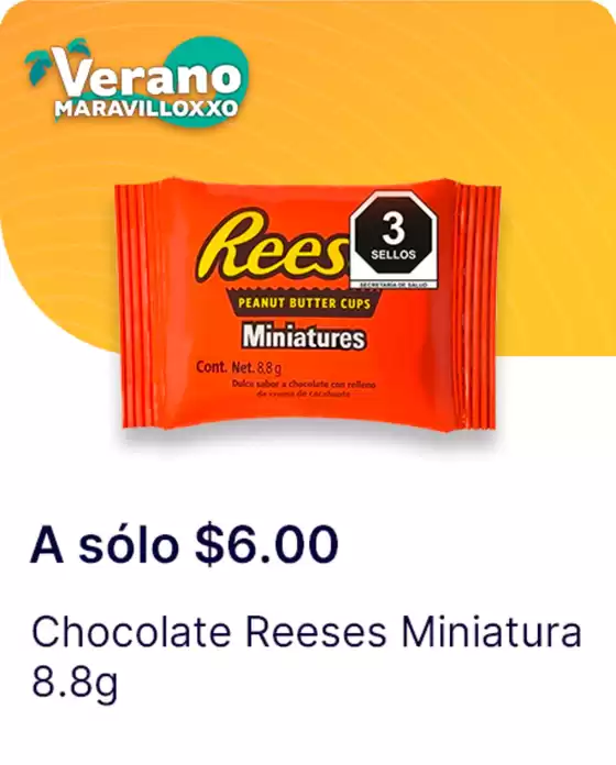 Descubre ofertas atractivas