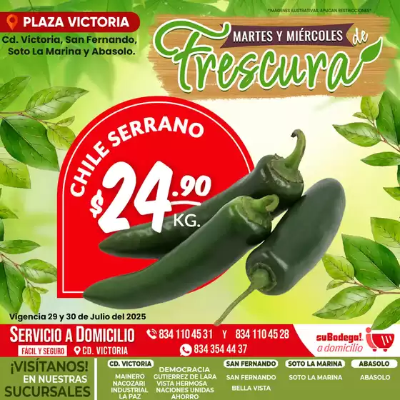 Ofertas y promociones actuales