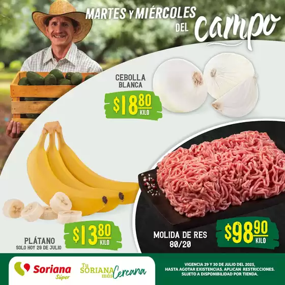 Catálogo Soriana Súper en Miguel Hidalgo | Catálogo Soriana Súper | 2025-07-30T00:00:00.000Z - 2025-07-31T00:00:00.000Z