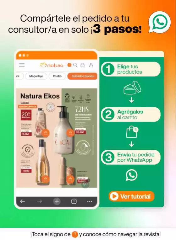 Revista Natura Ciclo 13 2025
