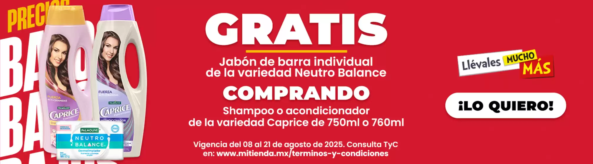 Nuestras mejores gangas