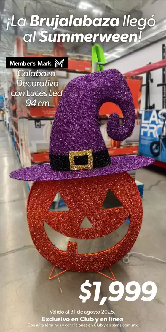 Catálogo Sam's Club en Palomar | Grandes descuentos en productos seleccionados | 2025-08-08T00:00:00.000Z - 2025-08-31T00:00:00.000Z