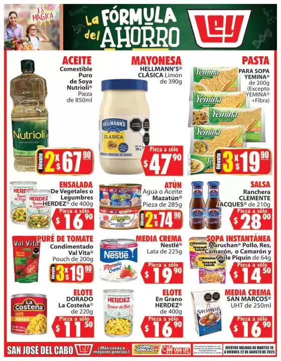 Ofertas y promociones actuales