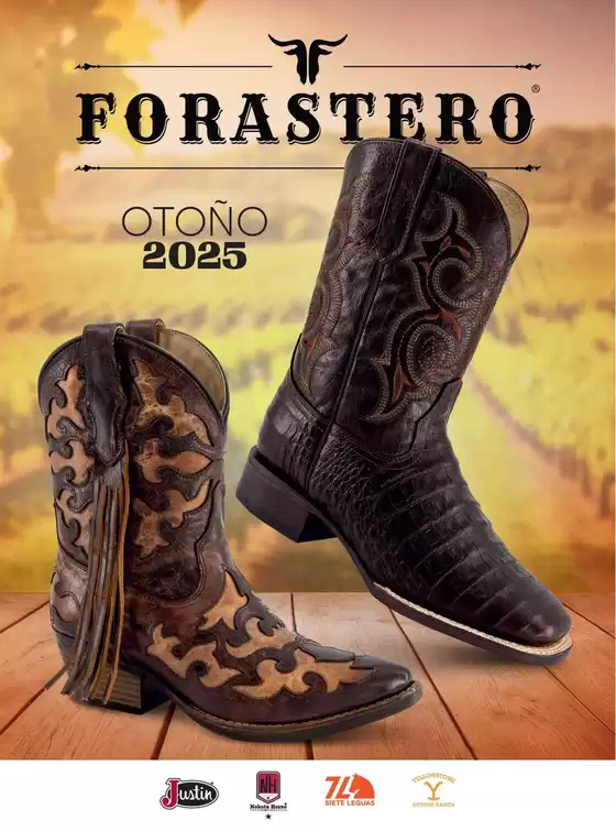 ANDREA | FORASTERO