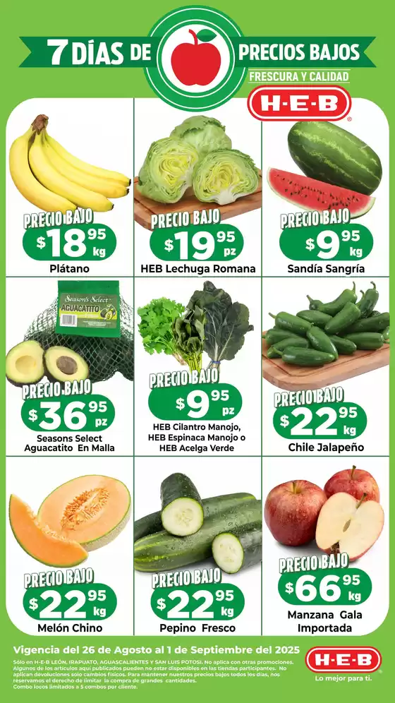 Ahorra ahora con nuestras ofertas