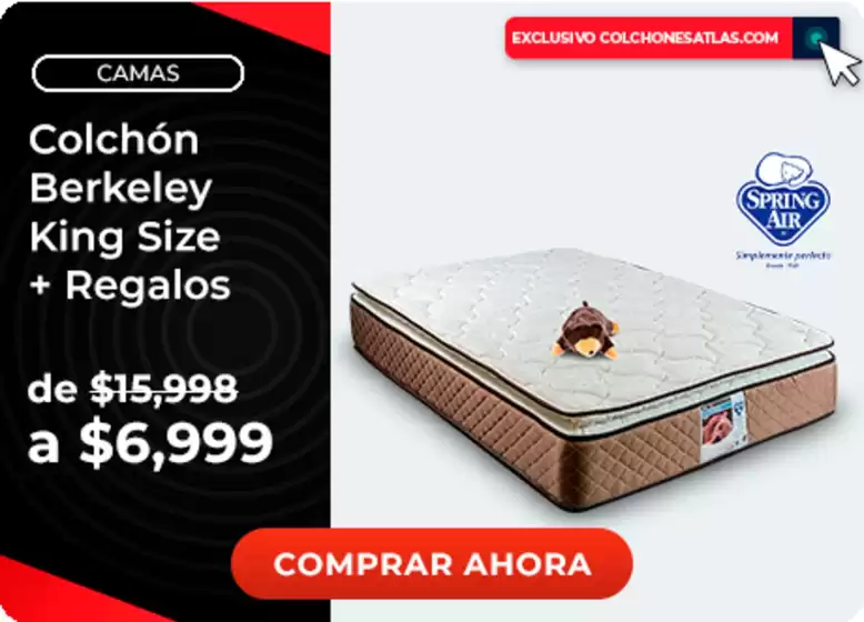 Ofertas y promociones actuales
