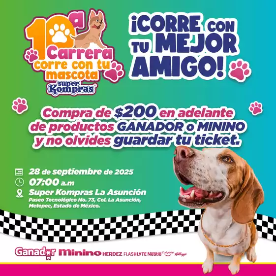 Ofertas principales para todos los cazadores de gangas