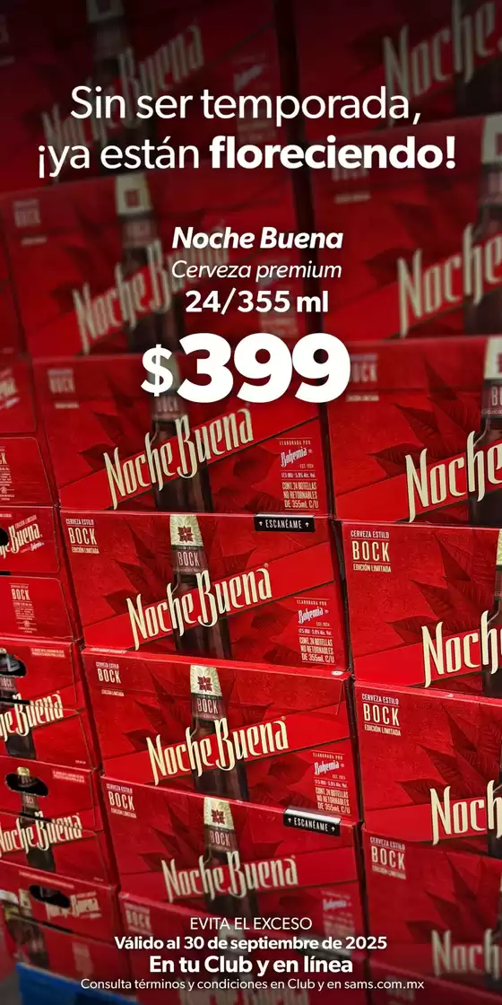 Ofertas especiales atractivas para todos