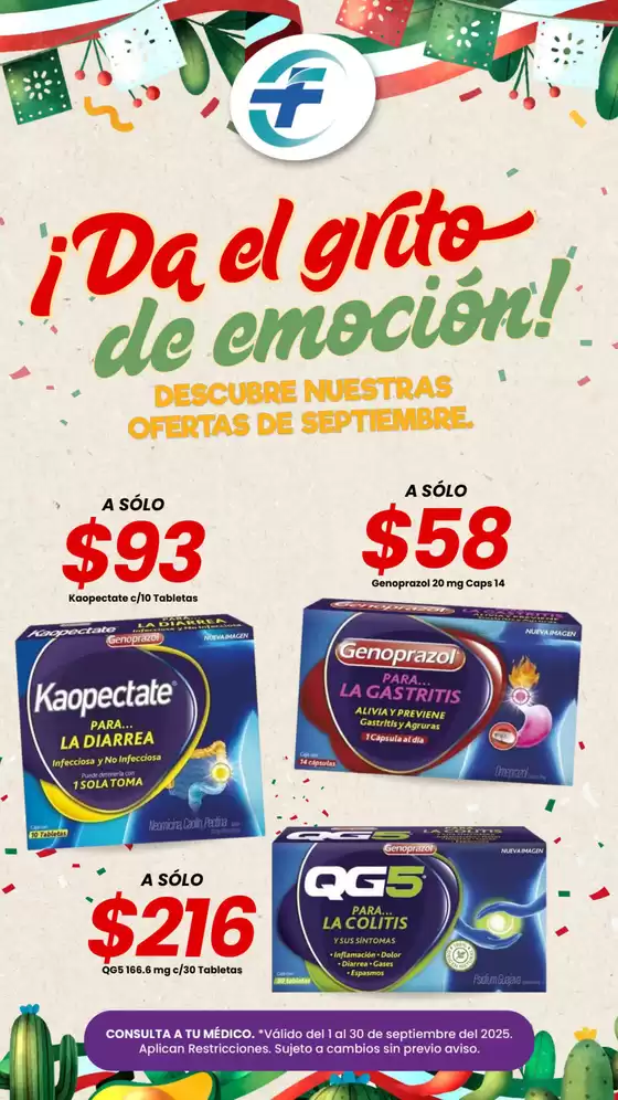 Nuestras mejores gangas