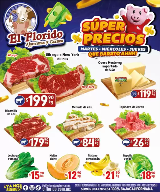 Nuestras mejores ofertas para ti