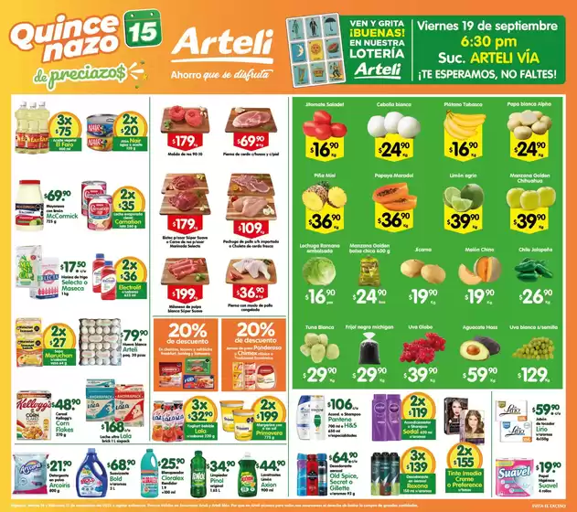Ofertas Arteli express