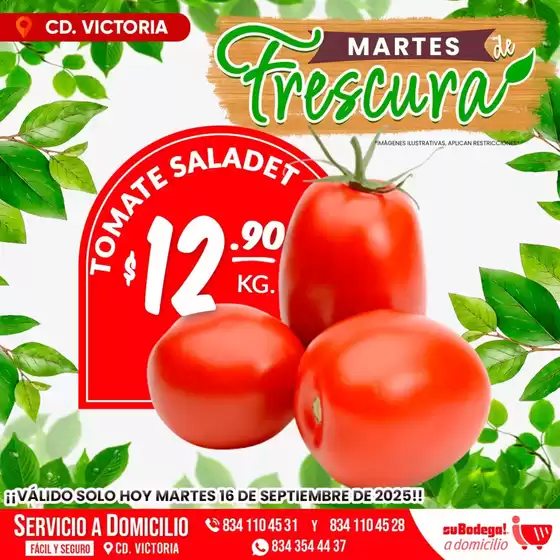 Descubre ofertas atractivas
