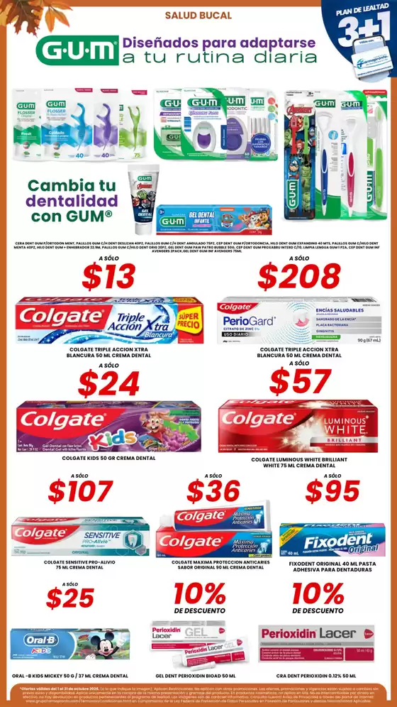 Nuestras mejores ofertas para ti