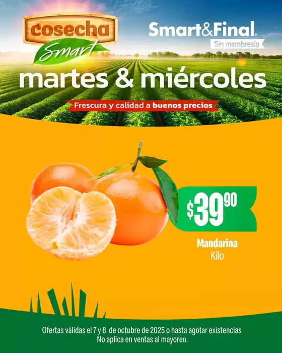 Catálogo Smart & Final en Jerez de García Salinas | Ofertas para cazadores de gangas | 2025-10-08T00:00:00.000Z - 2025-10-08T00:00:00.000Z
