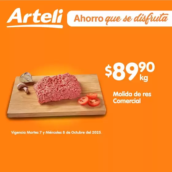 Catálogo Arteli en Jerez de García Salinas | Ofertas principales para ahorradores | 2025-10-08T00:00:00.000Z - 2025-10-08T00:00:00.000Z