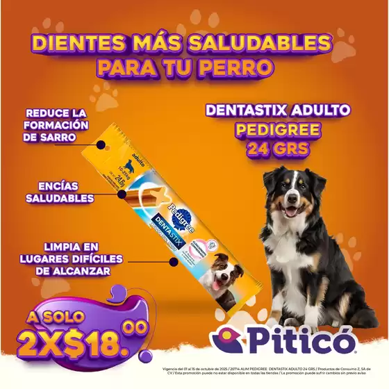 Catálogo Piticó | Nuevas ofertas para descubrir | 2025-10-13T00:00:00.000Z - 2025-10-15T00:00:00.000Z