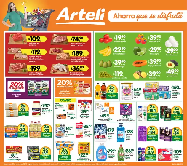 Catálogo Arteli express en Metepec (México) | Ofertas Arteli express | 2025-11-03T00:00:00.000Z - 2025-11-03T00:00:00.000Z