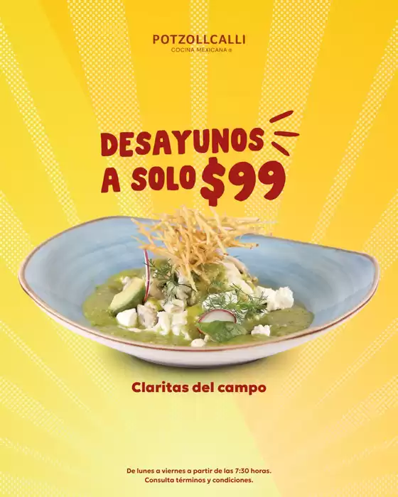 Catálogo Potzollcalli | Promo | 2025-11-05T00:00:00.000Z - 2025-11-30T00:00:00.000Z