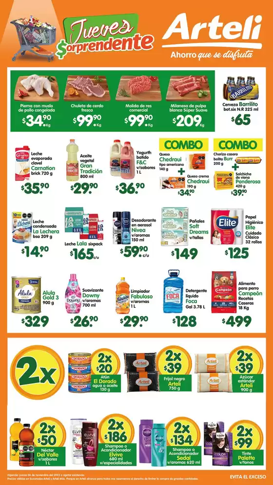 Catálogo Arteli en Acapulco de Juárez | Descubre ofertas atractivas | 2025-11-06T00:00:00.000Z - 2025-11-06T00:00:00.000Z