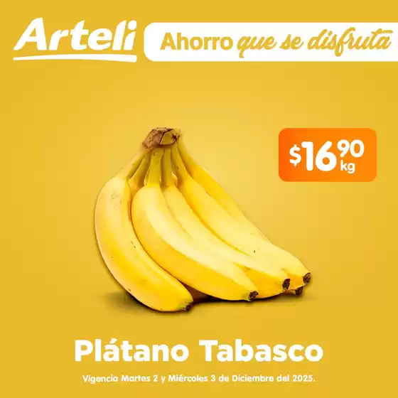 Catálogo Arteli express | Gran variedad de ofertas | 2025-12-02T00:00:00.000Z - 2025-12-03T00:00:00.000Z
