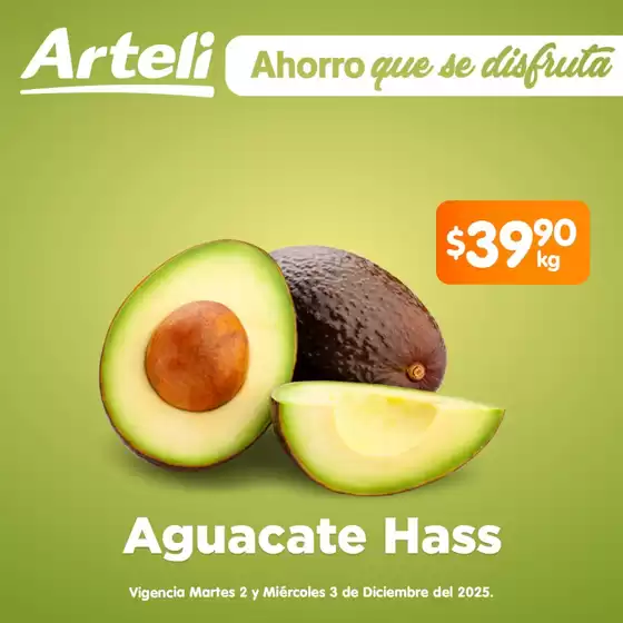 Catálogo Arteli | Gangas y ofertas actuales | 2025-12-02T00:00:00.000Z - 2025-12-03T00:00:00.000Z
