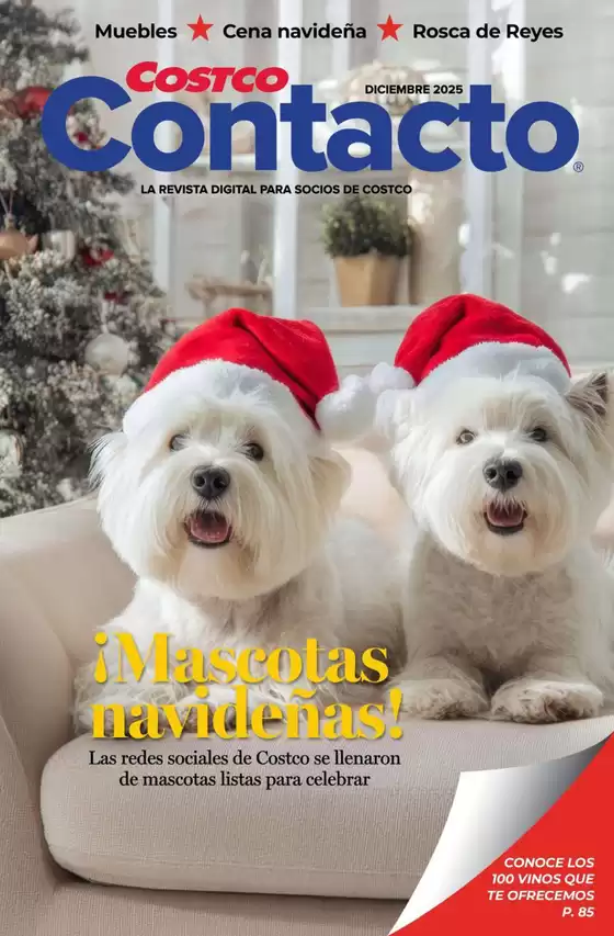 Catálogo Costco | Ofertas Costco | 2025-12-01T00:00:00.000Z - 2025-12-31T00:00:00.000Z