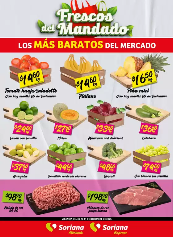 Catálogo Soriana Mercado en Magdalena Chichicaspa | VolMartes091225MDOgolfo | 2025-12-09T00:00:00.000Z - 2025-12-11T00:00:00.000Z