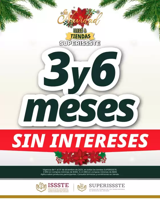 Catálogo SuperISSSTE en Coatepec (Veracruz) | Gran variedad de ofertas | 2025-12-01T00:00:00.000Z - 2025-12-31T00:00:00.000Z