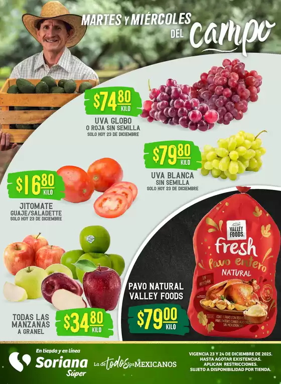 Catálogo Soriana Súper en Santo Domingo Tehuantepec | Nuevas ofertas para descubrir | 2025-12-23T00:00:00.000Z - 2025-12-24T00:00:00.000Z