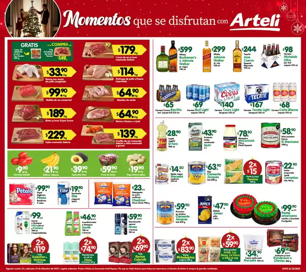 Catálogo Arteli express en Santiago de Querétaro | Arteli Express | 2025-12-23T00:00:00.000Z - 2025-12-24T00:00:00.000Z