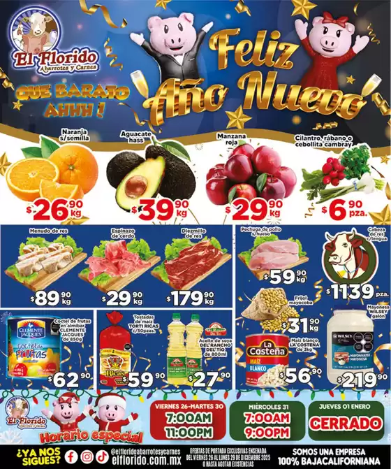 Catálogo El Florido en Celaya | Ofertas principales y descuentos | 2025-12-26T00:00:00.000Z - 2025-12-29T00:00:00.000Z