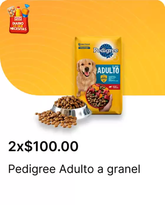 Catálogo OXXO en Guanajuato | Ofertas OXXO | 2026-01-09T00:00:00.000Z - 2026-01-31T00:00:00.000Z