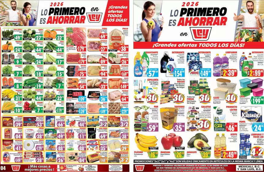 Catálogo Casa Ley en Valle de Santiago | Ahorra ahora con nuestras ofertas | 2026-01-09T00:00:00.000Z - 2026-01-12T00:00:00.000Z