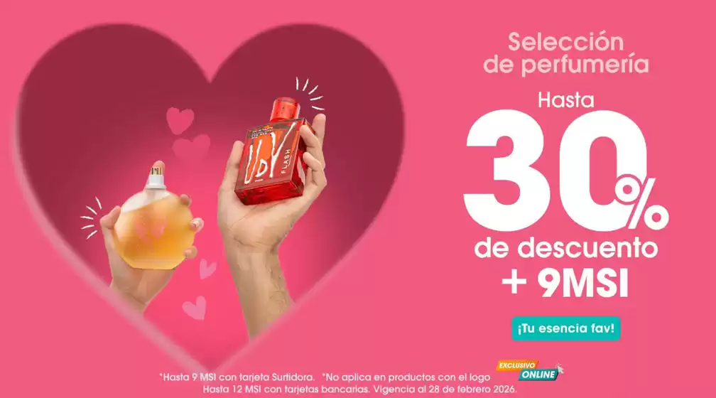 Catálogo Surtidora en Pánuco (Veracruz) | Promos | 2026-02-06T00:00:00.000Z - 2026-02-28T00:00:00.000Z