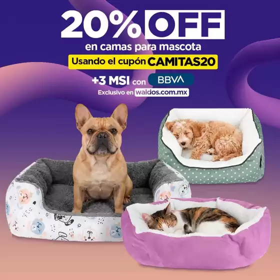 Catálogo Waldos en Rincón de Romos | Unsere besten Deals für Sie | 2026-03-25T00:00:00.000Z - 2026-03-31T00:00:00.000Z