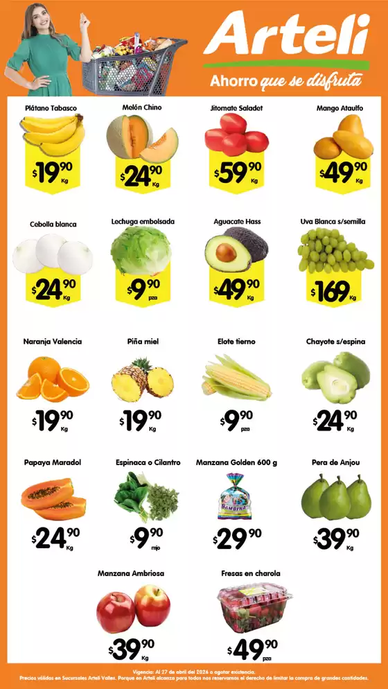 Catálogo Arteli express en Chilpancingo de los Bravo | Ofertas principales para todos los clientes | 2026-04-27T00:00:00.000Z - 2026-04-27T00:00:00.000Z