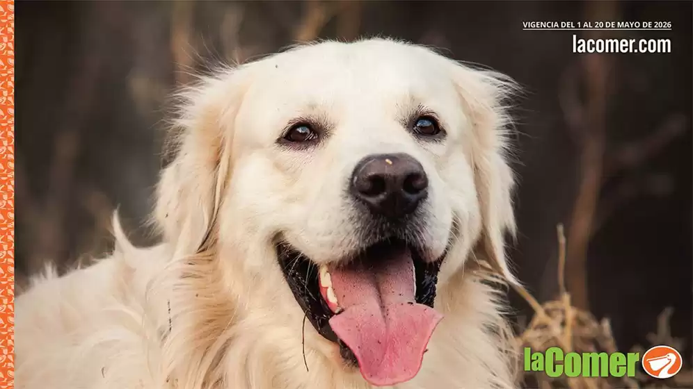 Catálogo La Comer | La Comer - Especial Mascotas | 2026-05-01T00:00:00.000Z - 2026-05-20T00:00:00.000Z