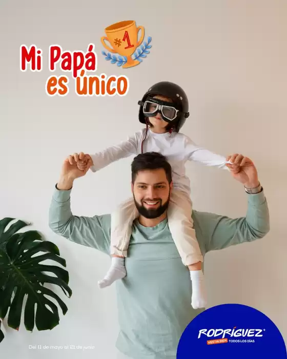 Catálogo Almacenes Rodríguez | Ofertas principales y descuentos | 2026-05-11T00:00:00.000Z - 2026-06-21T00:00:00.000Z
