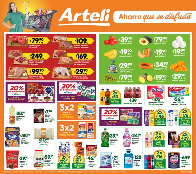 Catálogo Arteli | Ofertas exclusivas para nuestros clientes | 2026-06-01T00:00:00.000Z - 2026-06-01T00:00:00.000Z