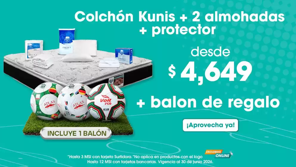 Catálogo Surtidora en Apaseo el Alto | Promos | 2026-06-09T00:00:00.000Z - 2026-06-30T00:00:00.000Z
