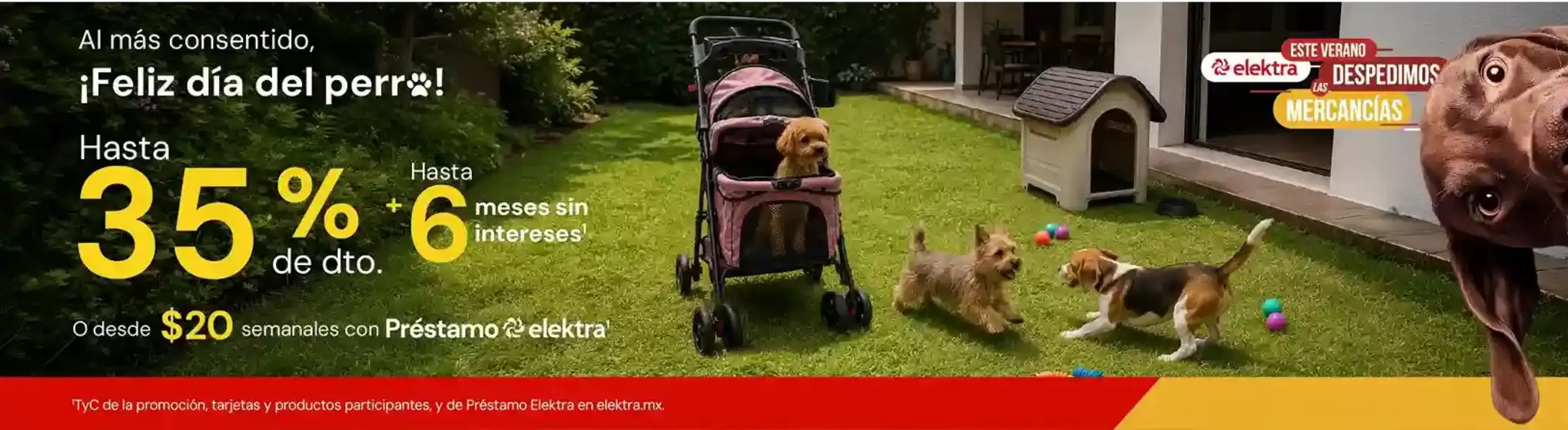 Catálogo Elektra en Valle de Chalco Solidaridad | Ofertas Elektra | 2026-06-01T00:00:00.000Z - 2026-08-31T00:00:00.000Z
