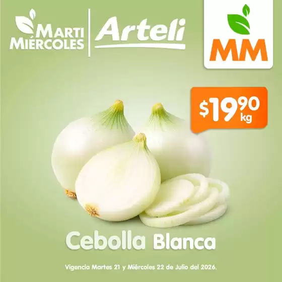 Catálogo Arteli | Ofertas principales para todos los cazadores de gangas | 2026-07-21T00:00:00.000Z - 2026-07-22T00:00:00.000Z