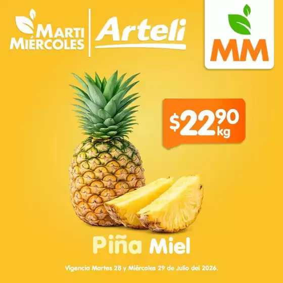 Catálogo Arteli en Iztapalapa | Descuentos y promociones | 2026-07-28T00:00:00.000Z - 2026-07-29T00:00:00.000Z