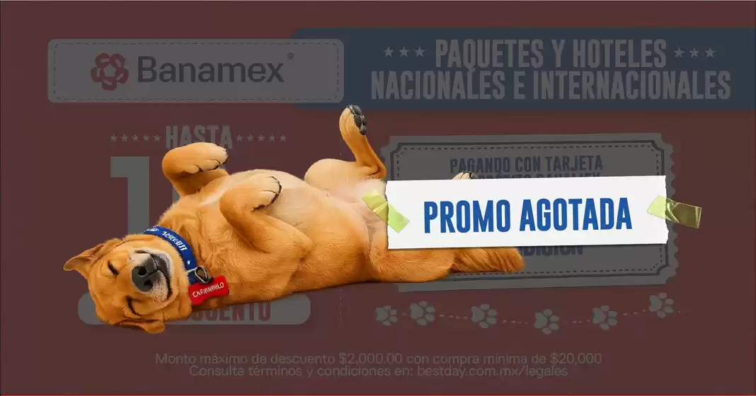 Catálogo Best Day en Gómez Palacio | Nuevas ofertas para descubrir | 2026-07-31T00:00:00.000Z - 2026-08-31T00:00:00.000Z