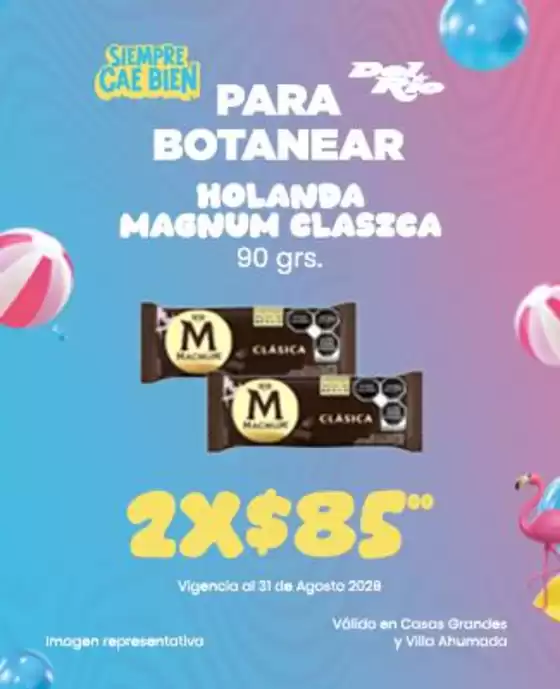Catálogo Del Rio | Ofertas Del Rio Villa Ahumada - Nuevo Casas Grandes | 2026-08-04T00:00:00.000Z - 2028-08-31T00:00:00.000Z
