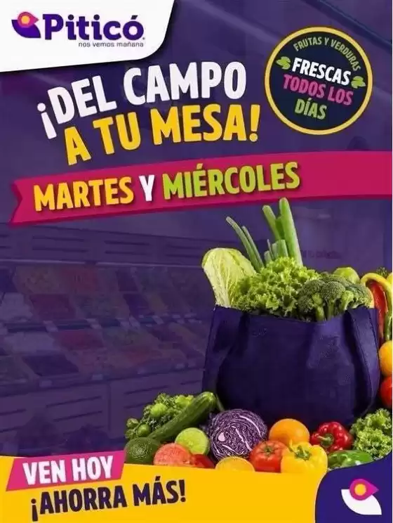 Catálogo Piticó | Ofertas Piticó | 2026-08-04T00:00:00.000Z - 2026-08-05T00:00:00.000Z