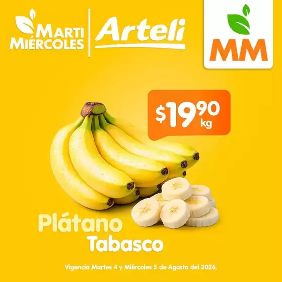 Catálogo Arteli | Ahorra ahora con nuestras ofertas | 2026-08-04T00:00:00.000Z - 2026-08-05T00:00:00.000Z