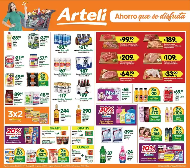 Catálogo Arteli express | Ofertas Arteli express | 2026-08-21T00:00:00.000Z - 2026-08-23T00:00:00.000Z